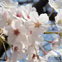 ちょっとお散歩に行ってきた